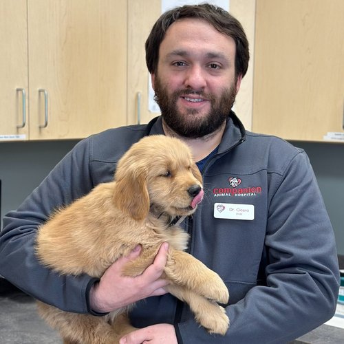 Dr. Diego Cicero, DVM