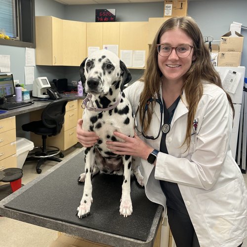 Dr. Madeline Wolfe, DVM